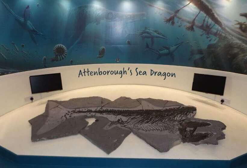 ベッドアンドブレックファースト Cosy Snug Room With Shower Ensuite Private Balcony With Countryside Views And A Real Open Fireplace