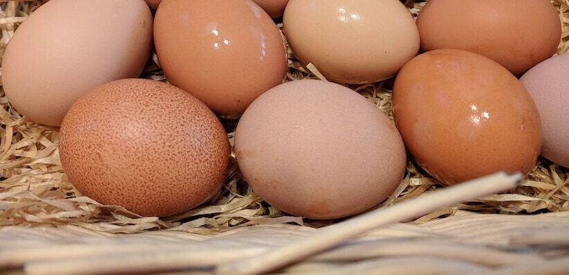 ベッドアンドブレックファースト Cosy Snug Room With Shower Ensuite Private Balcony With Countryside Views And A Real Open Fireplace