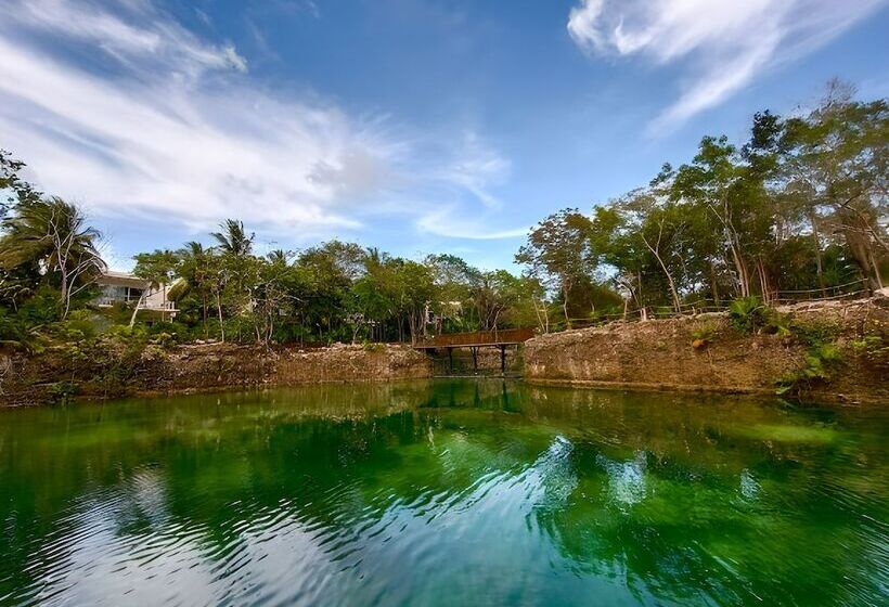 渡假胜地  Blue Diamond Luxury Boutique - All Inclusive Adults Only