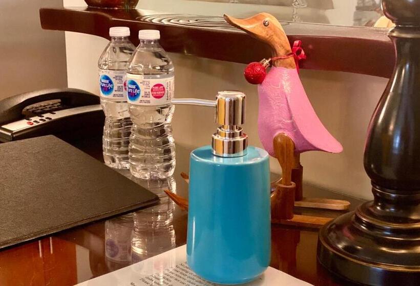 St Sauveur Lovely Studio