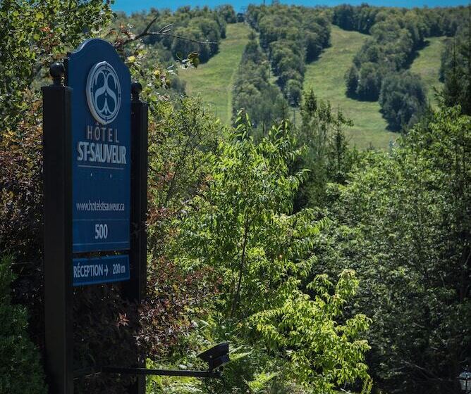 St Sauveur Lovely Studio