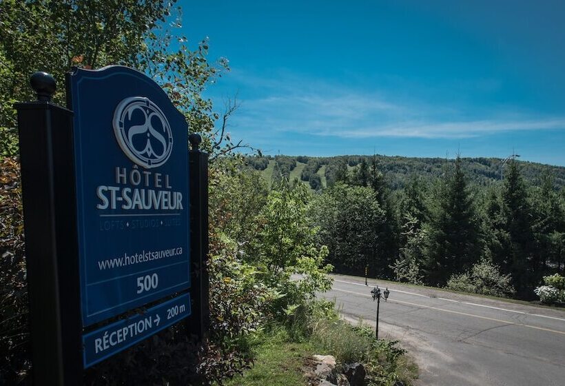 St Sauveur Lovely Studio