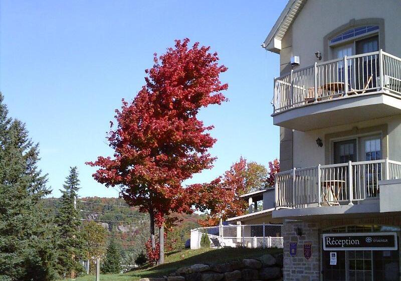 St Sauveur Lovely Studio