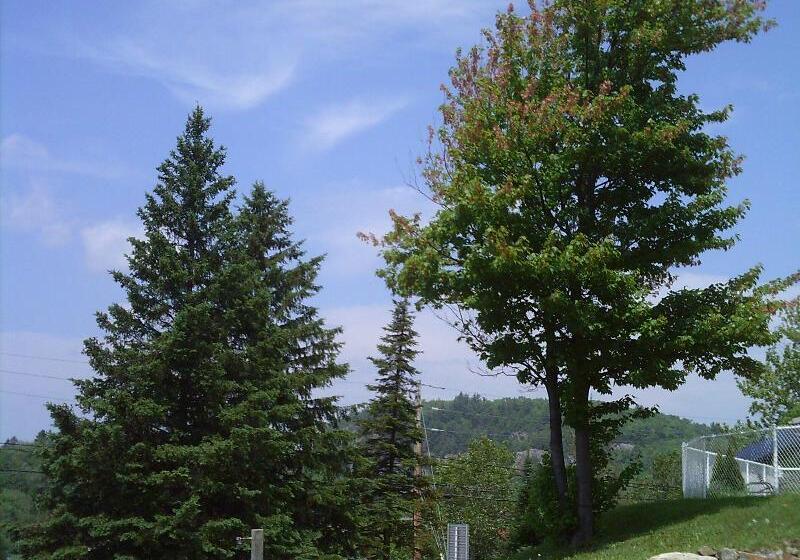 St Sauveur Lovely Studio