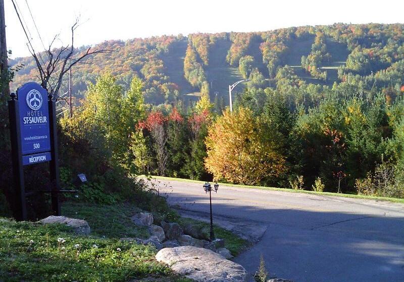 St Sauveur Lovely Studio