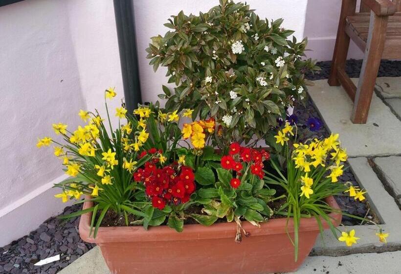 Y Garth Luxury Bed And Breakfast