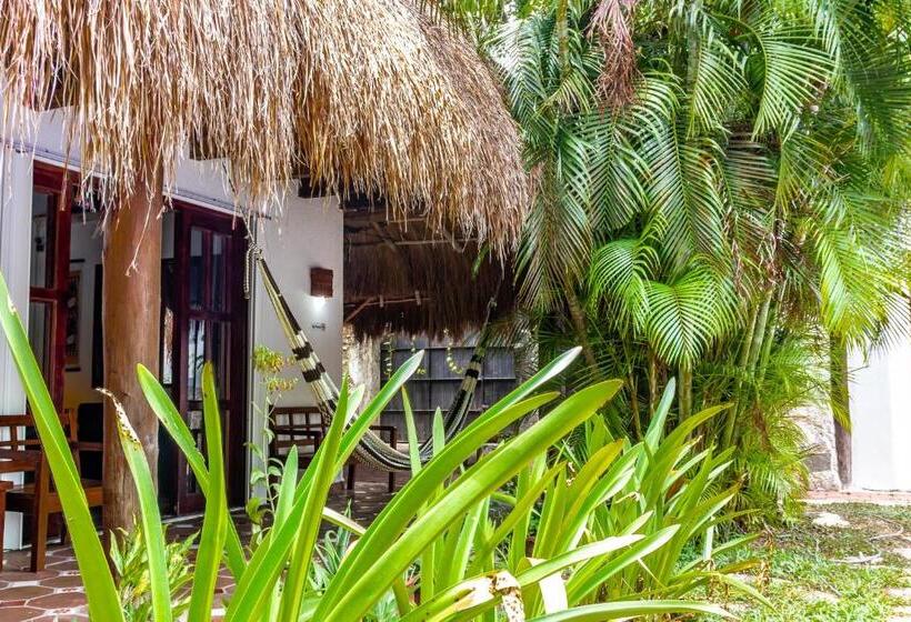 Apart Hotel Casaejido