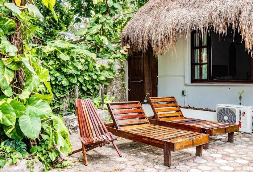 Apart Hotel Casaejido