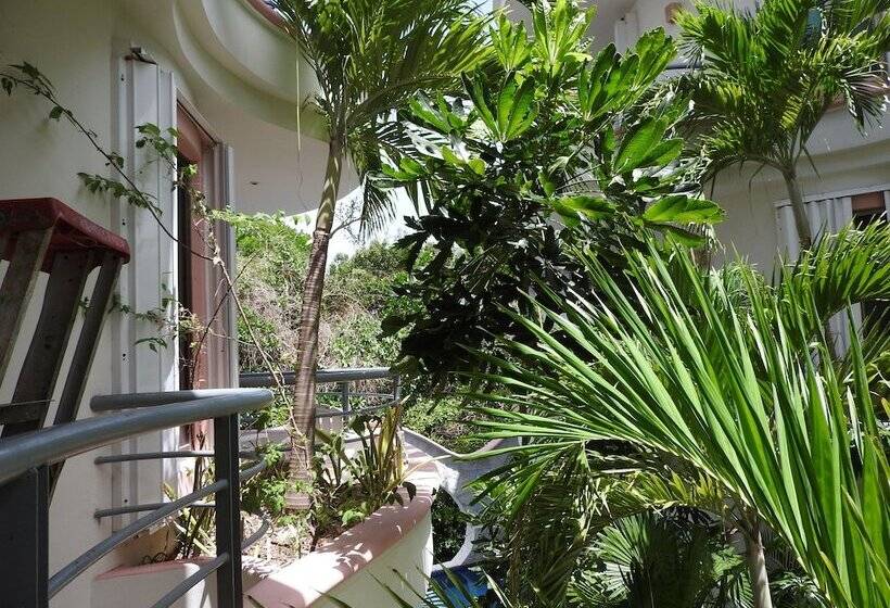 Apart Hotel Casaejido