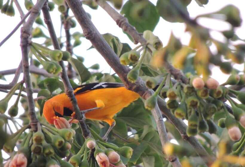 Apart Hotel Casaejido