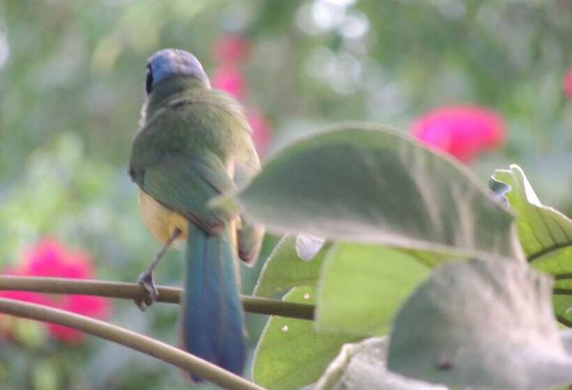 Apart Hotel Casaejido