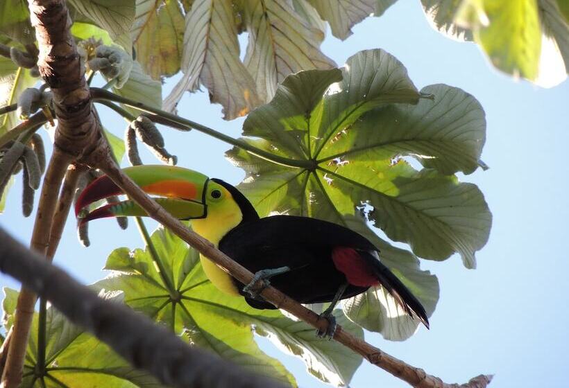 Apart Hotel Casaejido
