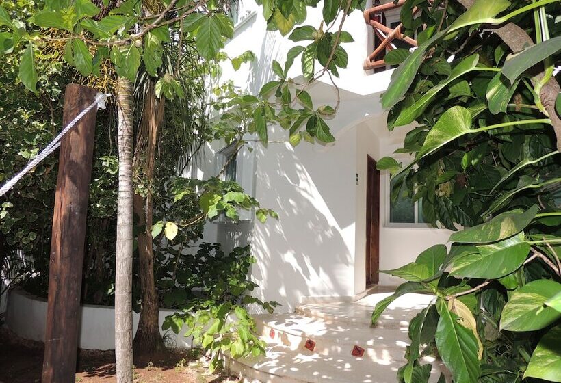 Apart Hotel Casaejido