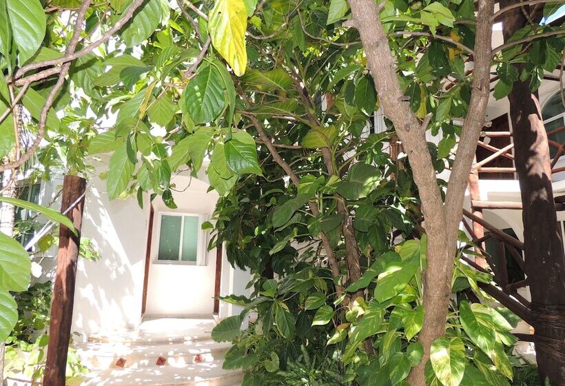 Apart Hotel Casaejido