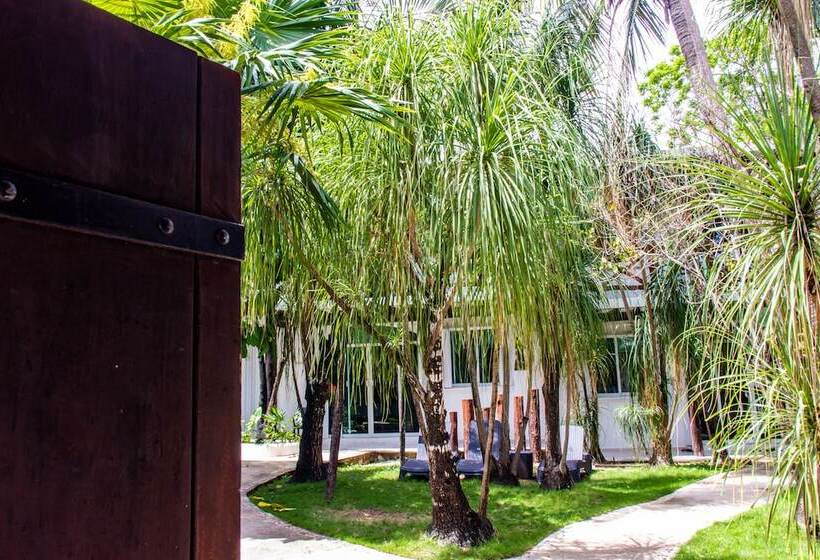 Apart Hotel Casaejido