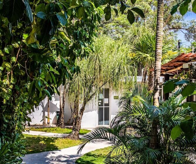 Apart Hotel Casaejido