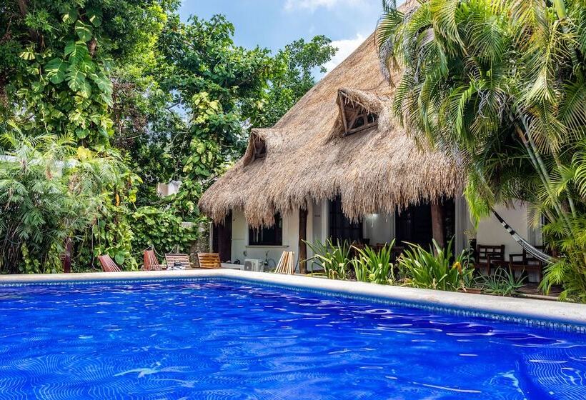 Apart Hotel Casaejido