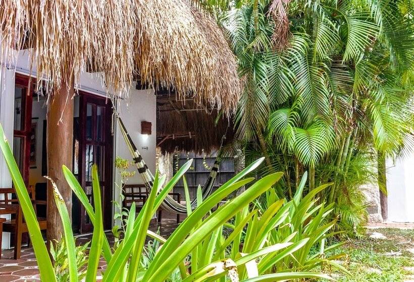 Apart Hotel Casaejido