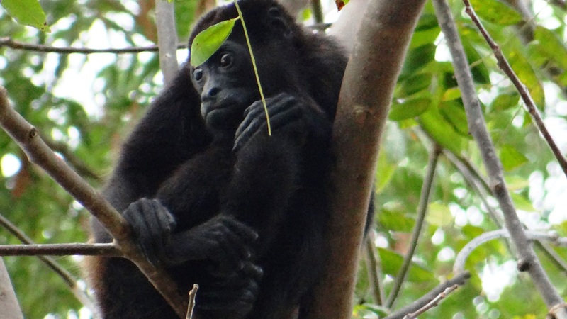 Apoyo Resort & Conference Center