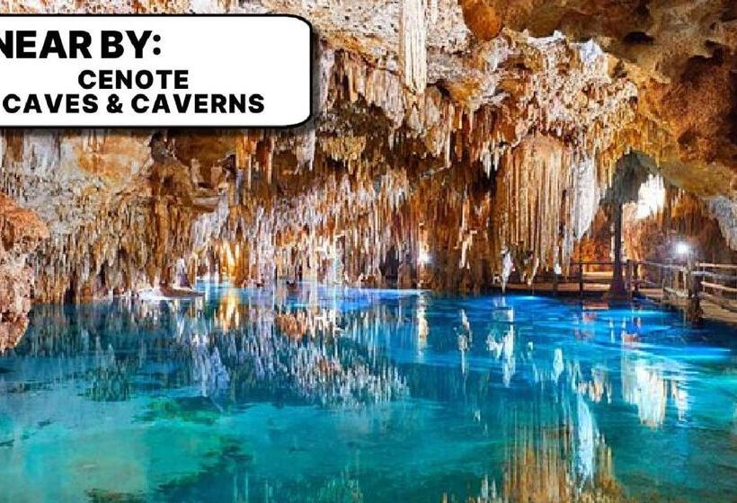 تختخواب و صبحانه Camp Akumal   Hosted Family Bungalows