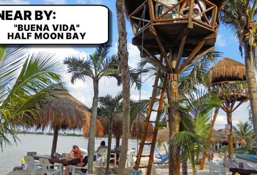 تختخواب و صبحانه Camp Akumal   Hosted Family Bungalows