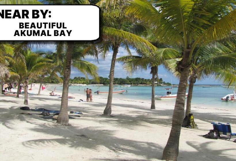 تختخواب و صبحانه Camp Akumal   Hosted Family Bungalows