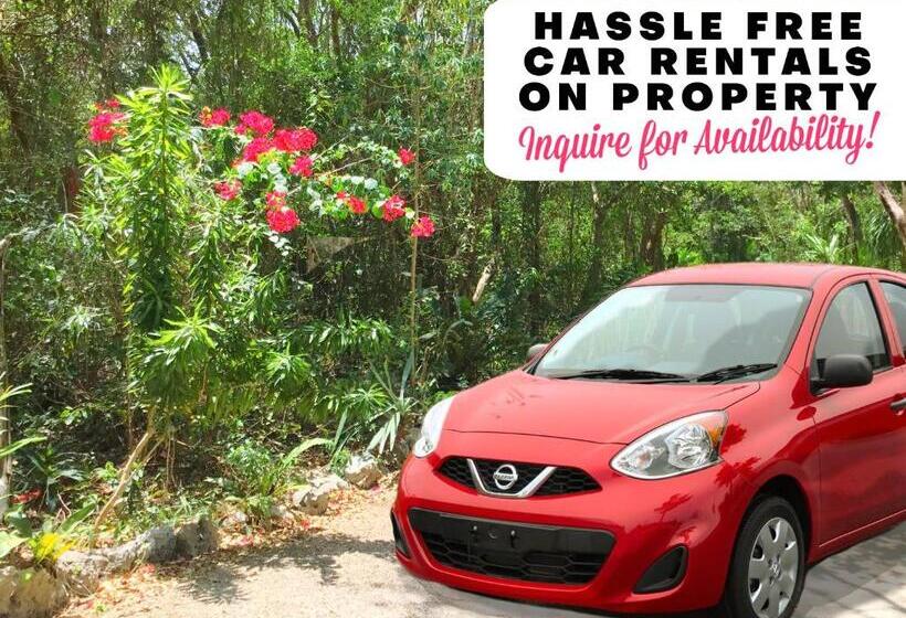 تختخواب و صبحانه Camp Akumal   Hosted Family Bungalows