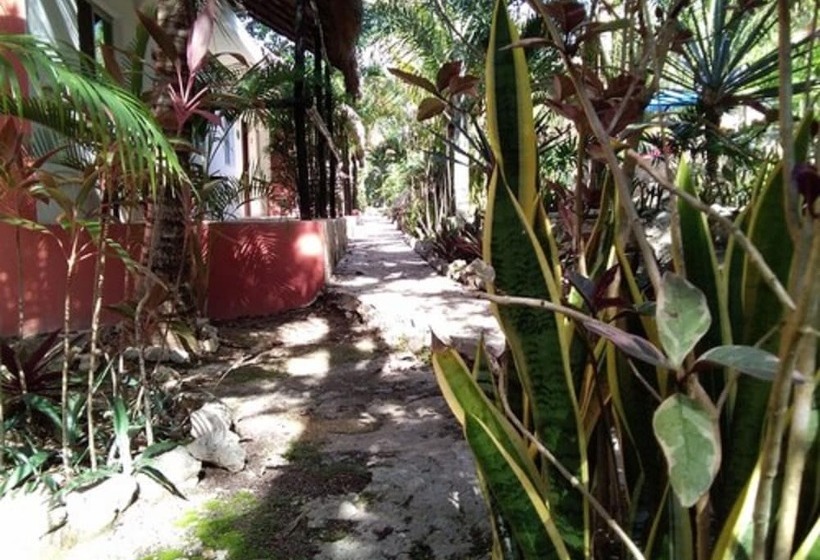 تختخواب و صبحانه Camp Akumal   Hosted Family Bungalows