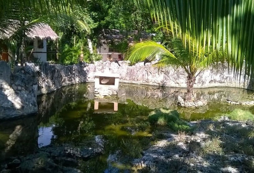 تختخواب و صبحانه Camp Akumal   Hosted Family Bungalows