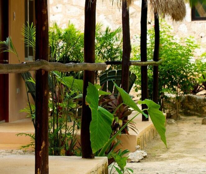 تختخواب و صبحانه Camp Akumal   Hosted Family Bungalows