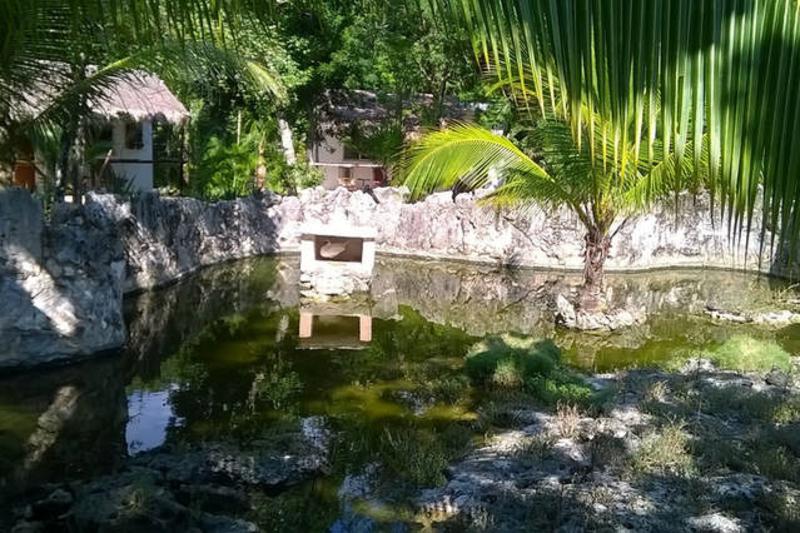 تختخواب و صبحانه Camp Akumal   Hosted Family Bungalows