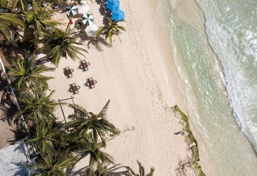 Bed and Breakfast Kinta Kan Beach Hotel Boutique Playa Del Carmen