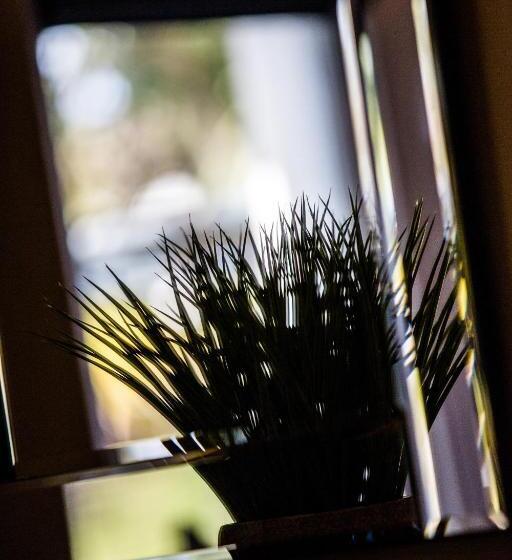 ベッドアンドブレックファースト No5 Durley Road Contemporary Serviced Rooms And Suites No Food Available