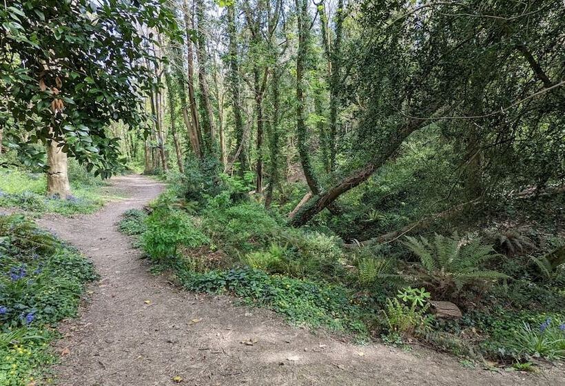 ベッドアンドブレックファースト Summerfields House