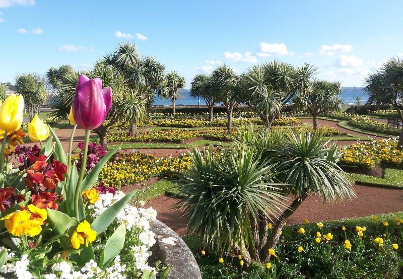 تختخواب و صبحانه The Baytree