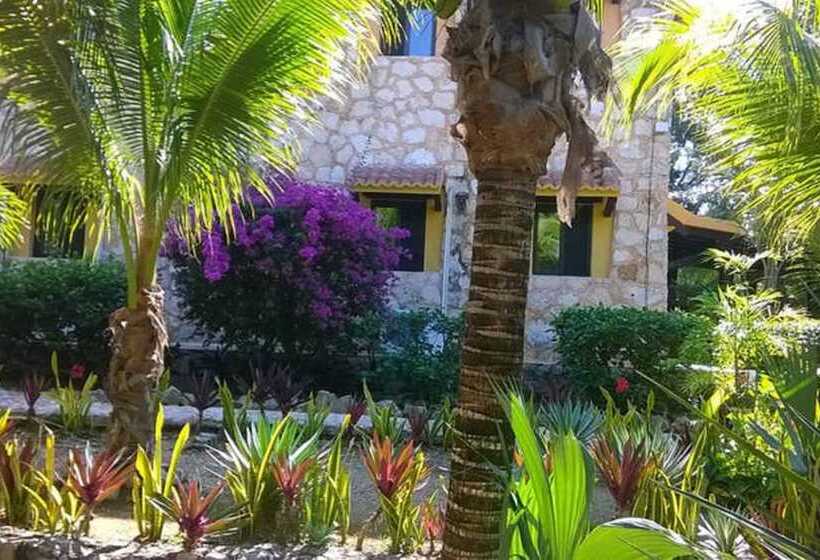 تختخواب و صبحانه Camp Akumal   Hosted Family Bungalows