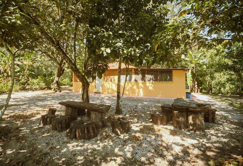 Cabañas Kin Balam Palenque