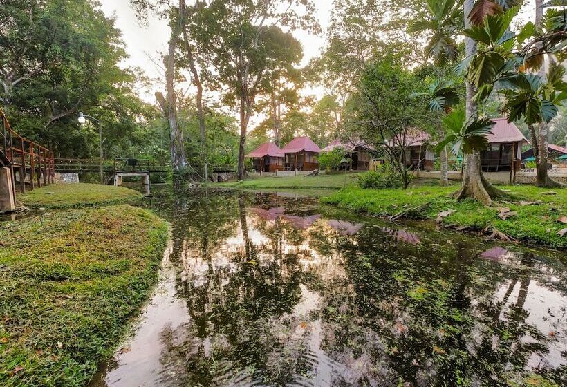 Cabañas Kin Balam Palenque