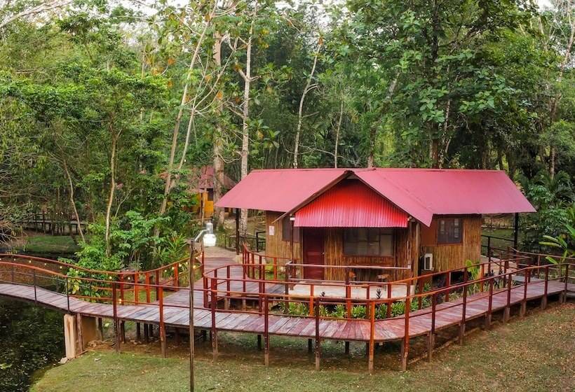 Cabañas Kin Balam Palenque