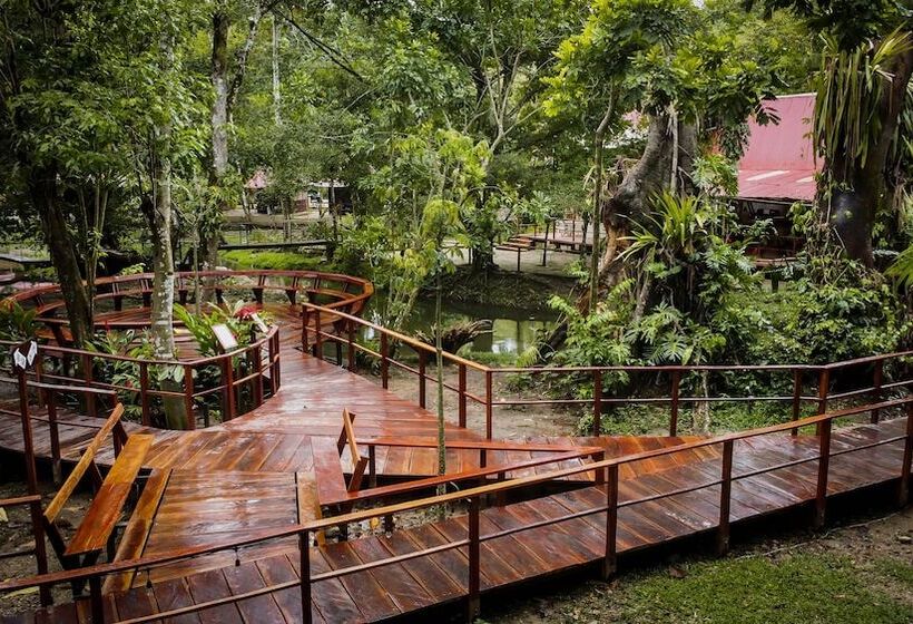 Cabañas Kin Balam Palenque