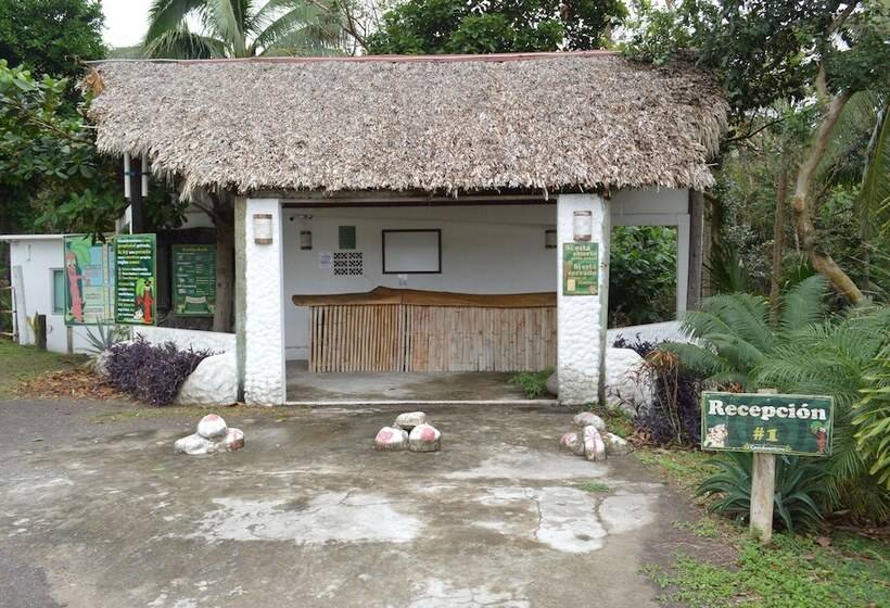 Cocoaventura Cabanas Y Club De Playa   Campsite