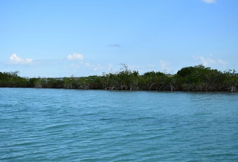 Eco Hotel Casa Corazón Bacalar