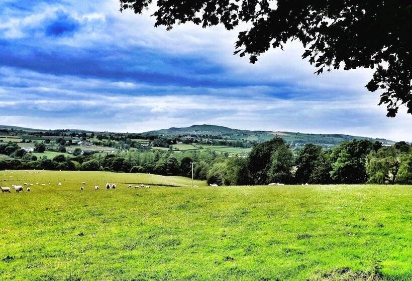 Elagh View Bed & Breakfast