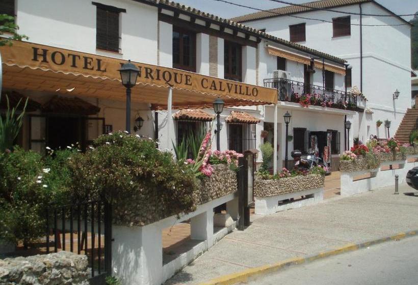 Отель Enrique Calvillo