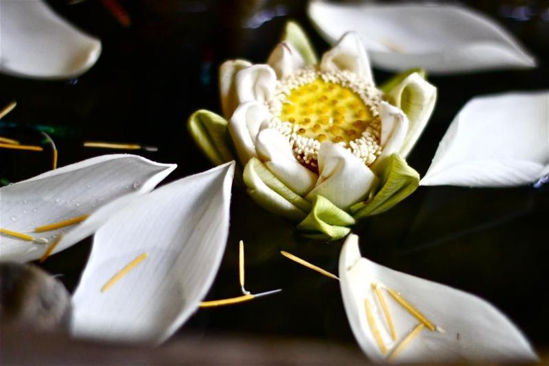 酒店 Boutique Cambo