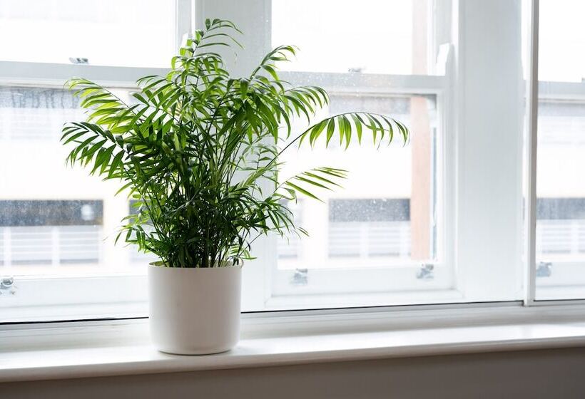 High Street Town House