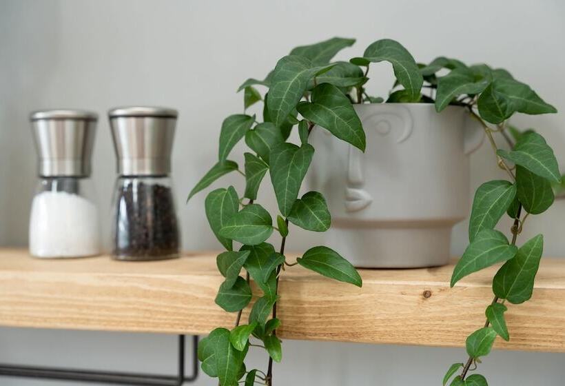 High Street Town House