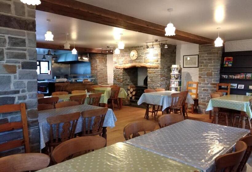 בית מלון כפרי Alltyfyrddin Farm Guest House At The Merlin S Hill Centre