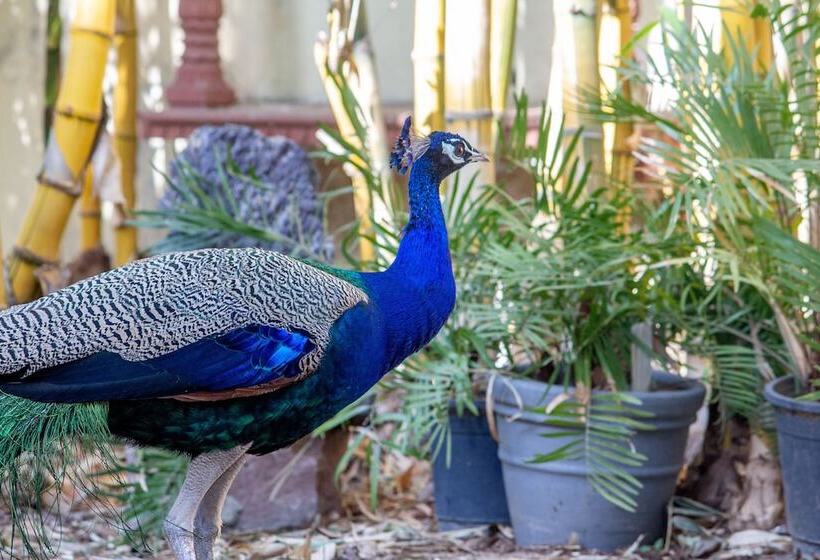 فندق Anuraag Villa