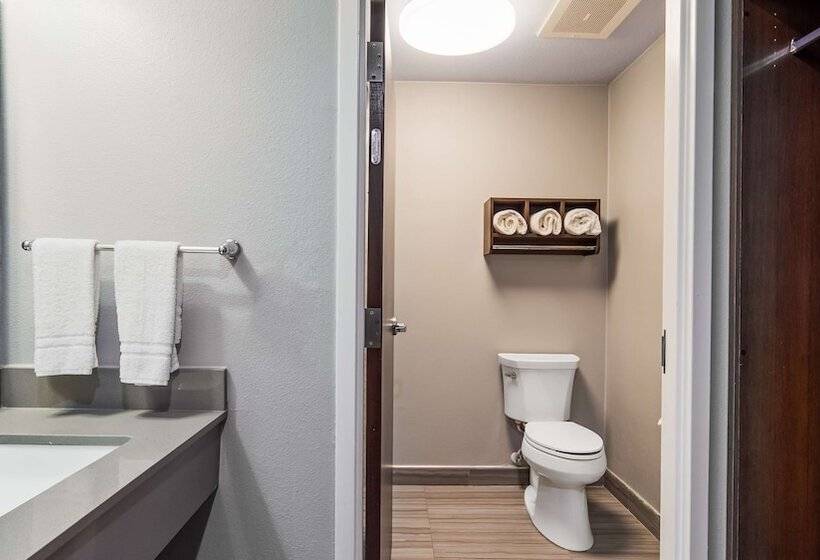 호텔 Best Western Town Center Inn